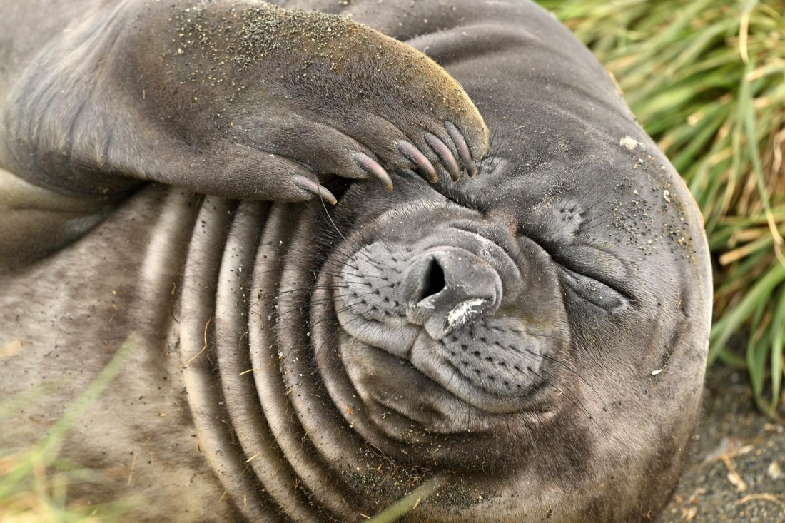 PLA20-24, Day 12, YA6_4089_20241029_6945 © Yves Adams - Oceanwide Expeditions.JPG