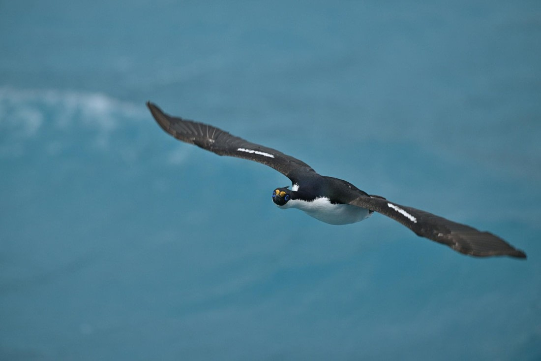 PLA20-24, Day 12, YA6_7415_20241029_7142 © Yves Adams - Oceanwide Expeditions.JPG