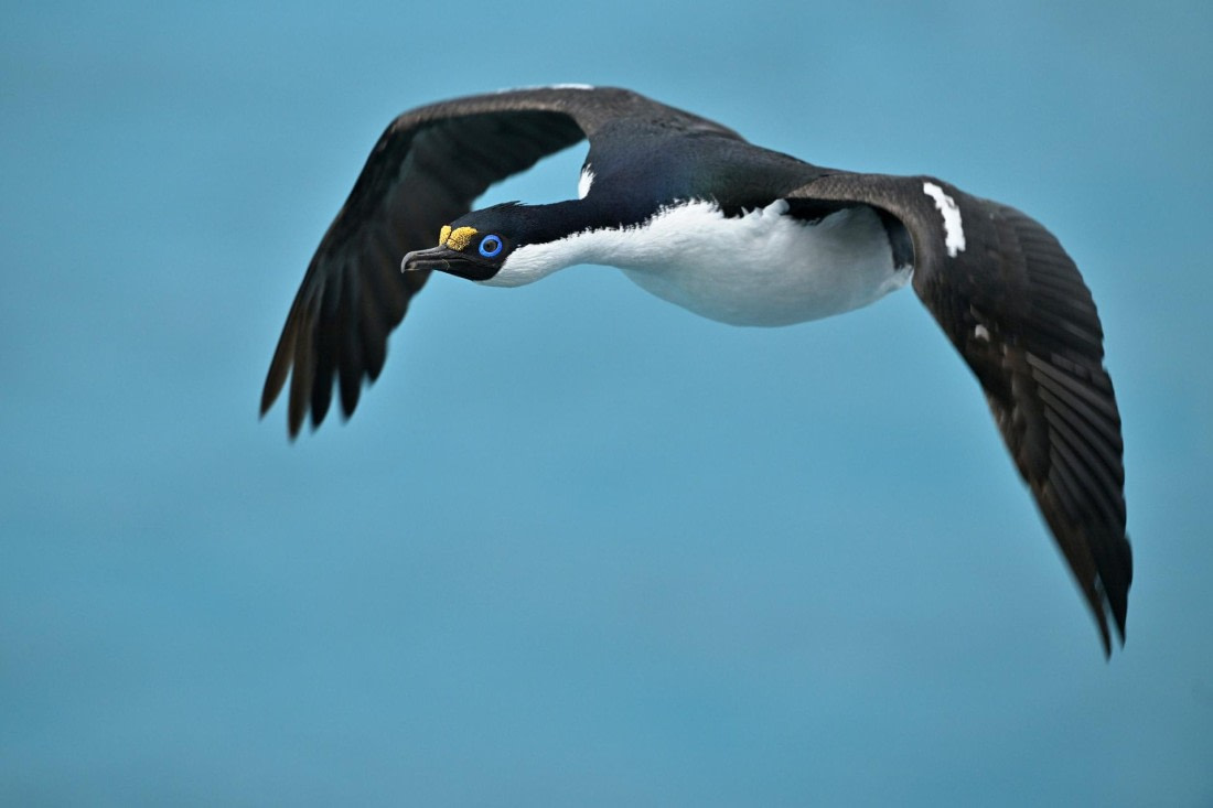 PLA20-24, Day 12, YA6_7490_20241029_7143 © Yves Adams - Oceanwide Expeditions.JPG