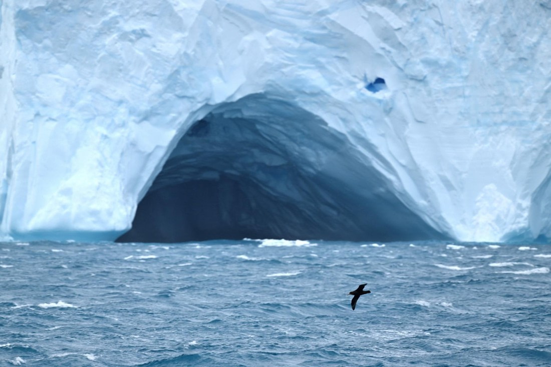 PLA20-24, Day 12, YA6_8800_20241029_7279 © Yves Adams - Oceanwide Expeditions.JPG