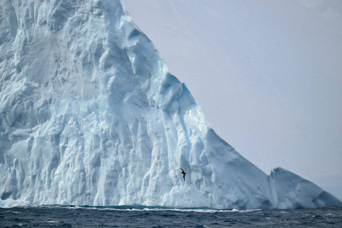 PLA20-24, Day 12, YA6_9045_20241029_7282 © Yves Adams - Oceanwide Expeditions.JPG