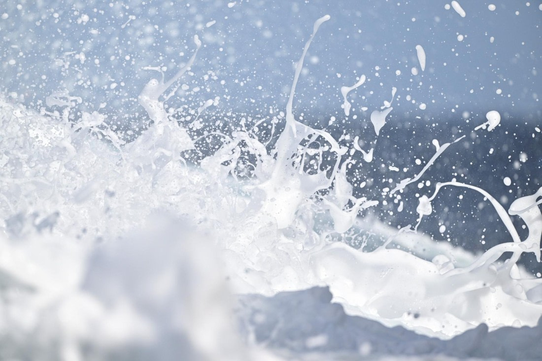 PLA20-24, Day 17, YA6_8808_20241103_7426 © Yves Adams - Oceanwide Expeditions.JPG