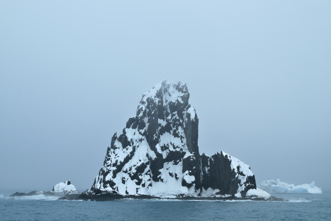 PLA20-24, Day 15, 8AY_4671_20241101_7315 © Yves Adams - Oceanwide Expeditions.JPG