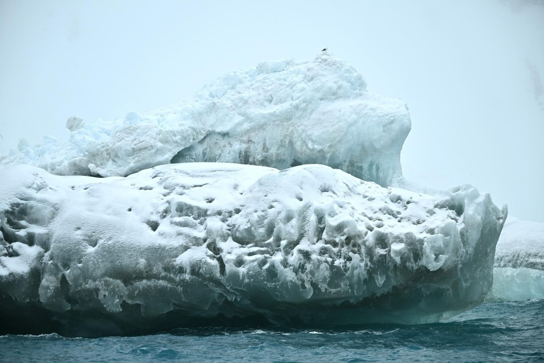 PLA20-24, Day 15, 8AY_4809_20241101_7329 © Yves Adams - Oceanwide Expeditions.JPG