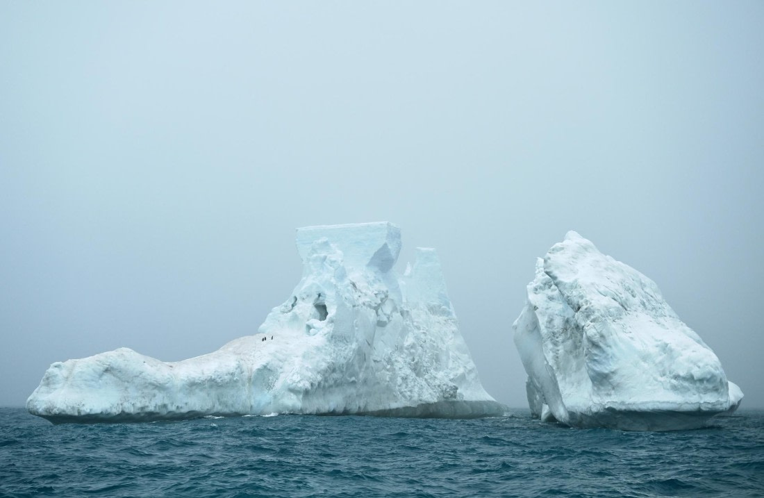 PLA20-24, Day 15, 8AY_5025_20241101_7330 © Yves Adams - Oceanwide Expeditions.JPG