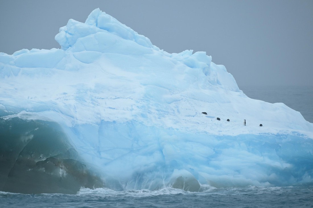 PLA20-24, Day 15, YA6_1643_20241101_7312 © Yves Adams - Oceanwide Expeditions.JPG