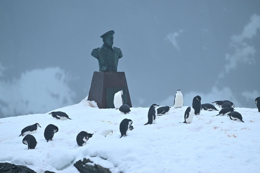 PLA20-24, Day 15, YA6_2148_20241101_7325 © Yves Adams - Oceanwide Expeditions.JPG