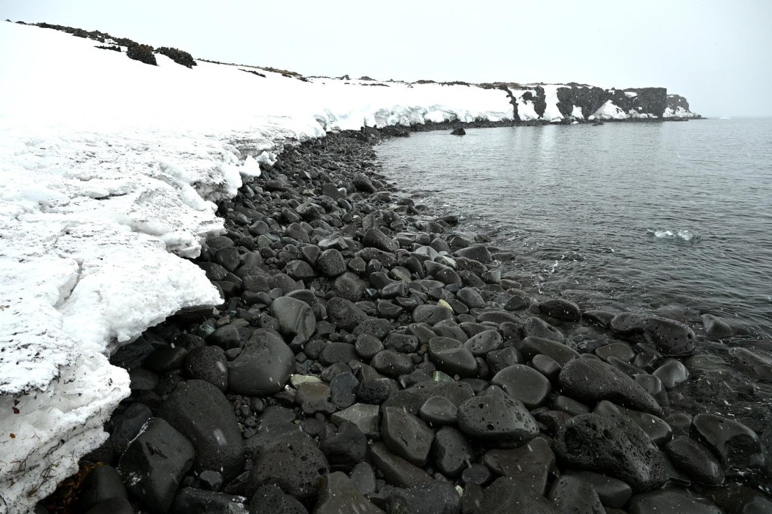 PLA20-24, Day 16, 8AY_5135_20241102_7332 © Yves Adams - Oceanwide Expeditions.JPG