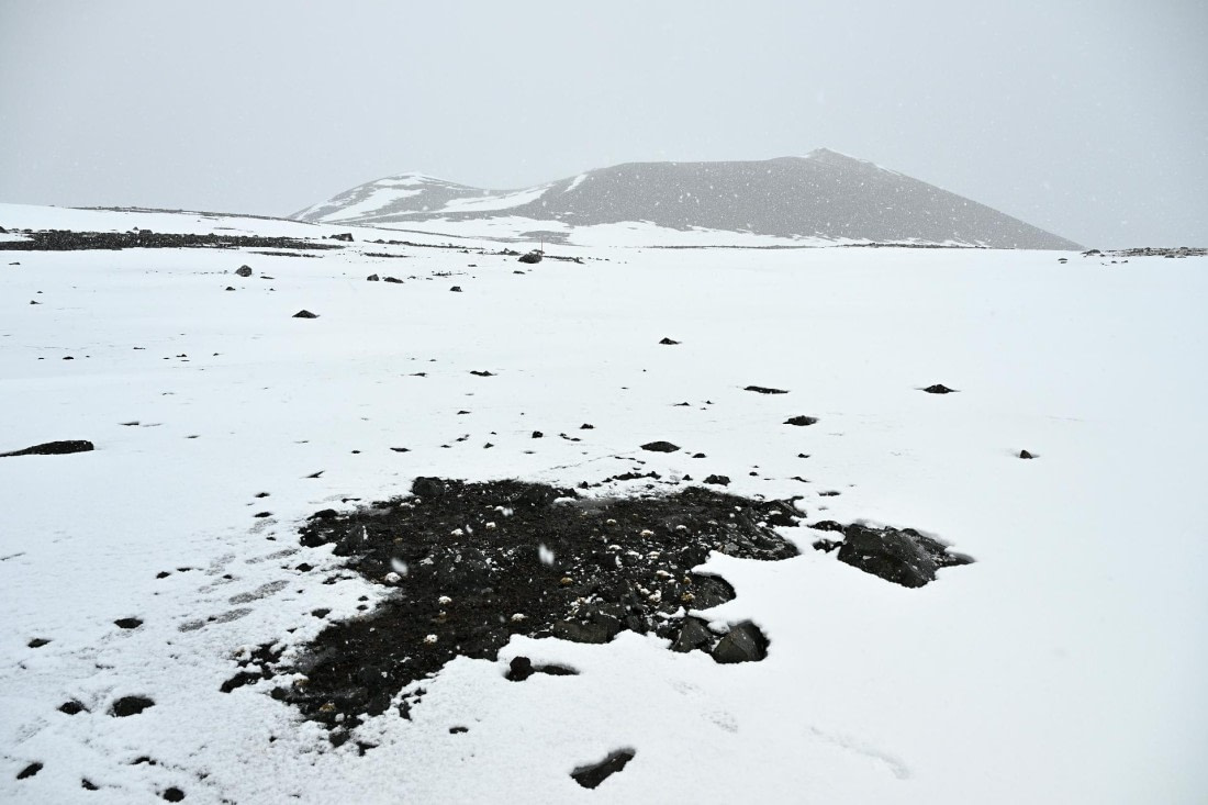 PLA20-24, Day 16, 8AY_5229_20241102_7334 © Yves Adams - Oceanwide Expeditions.JPG