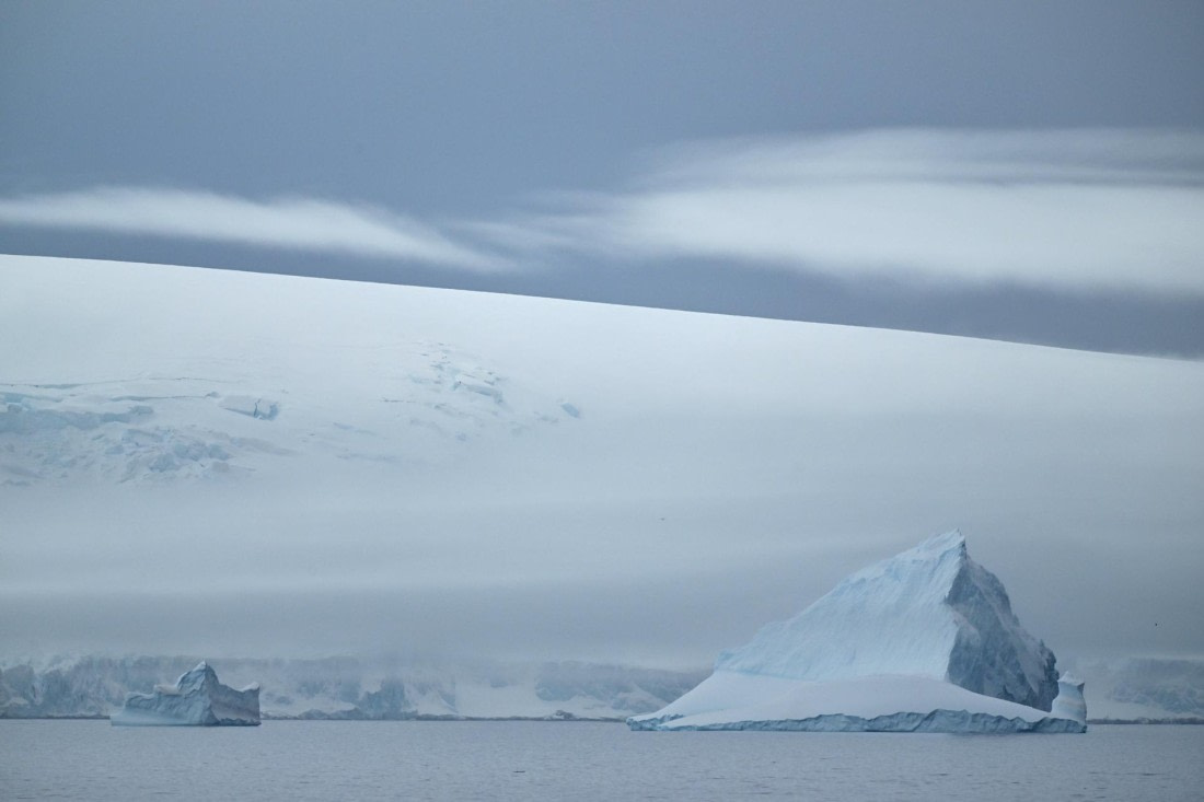 PLA20-24, Day 16, YA6_3406_20241102_7352 © Yves Adams - Oceanwide Expeditions.JPG