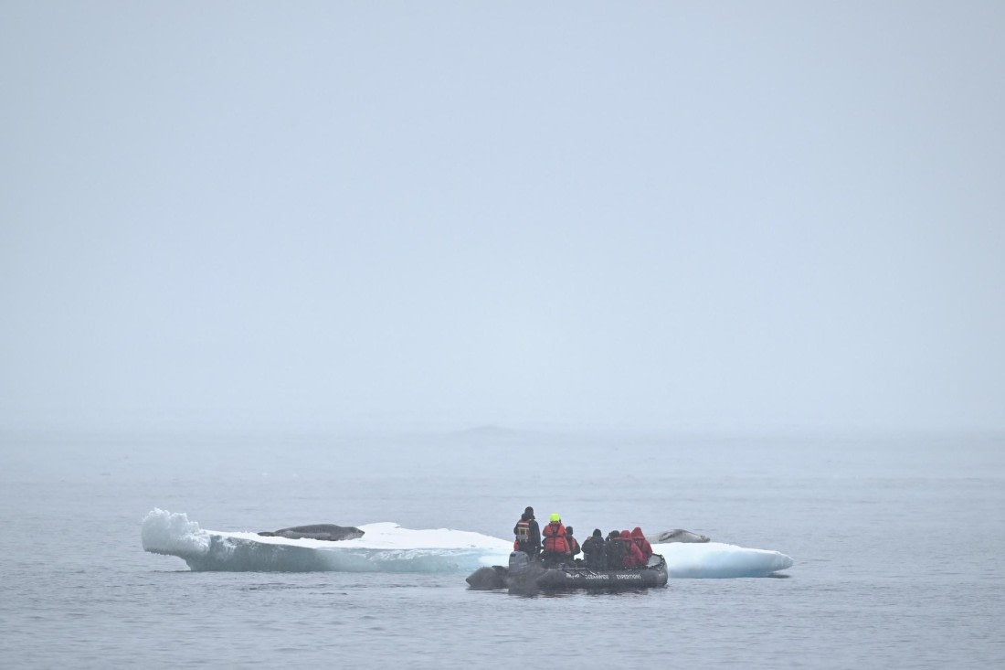 PLA20-24, Day 16, YA6_3539_20241102_7359 © Yves Adams - Oceanwide Expeditions.JPG