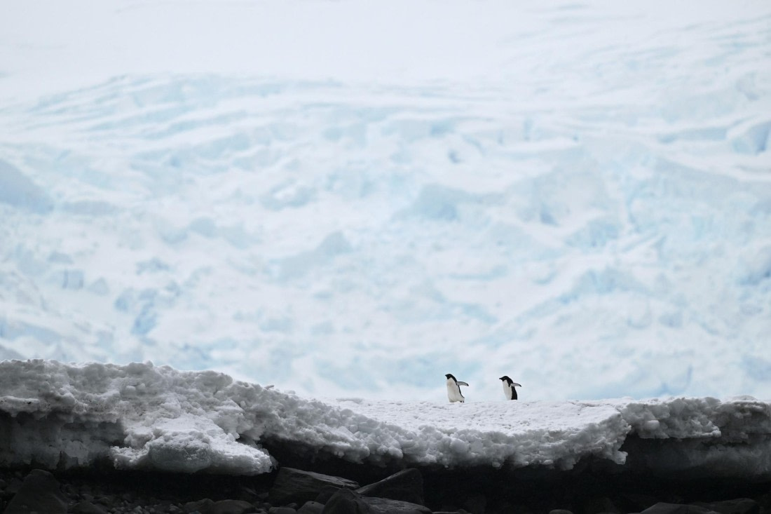 PLA20-24, Day 16, YA6_4553_20241102_7371 © Yves Adams - Oceanwide Expeditions.JPG