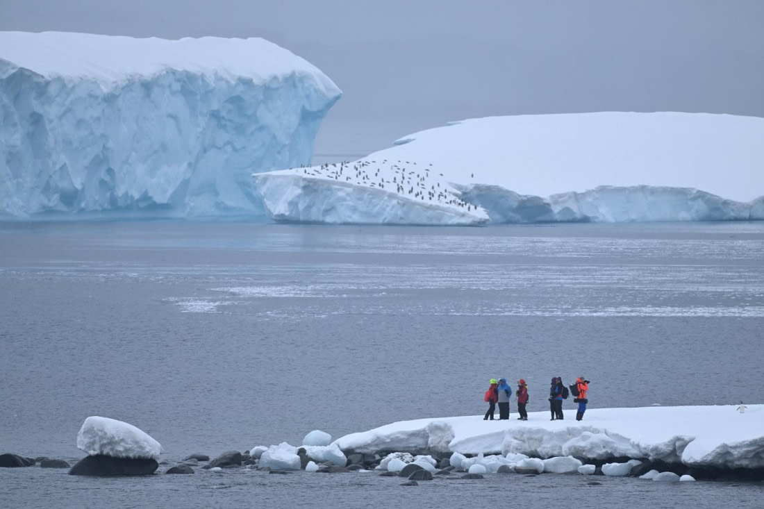 PLA20-24, Day 17, YA6_3340_20241103_7492 © Yves Adams - Oceanwide Expeditions.JPG