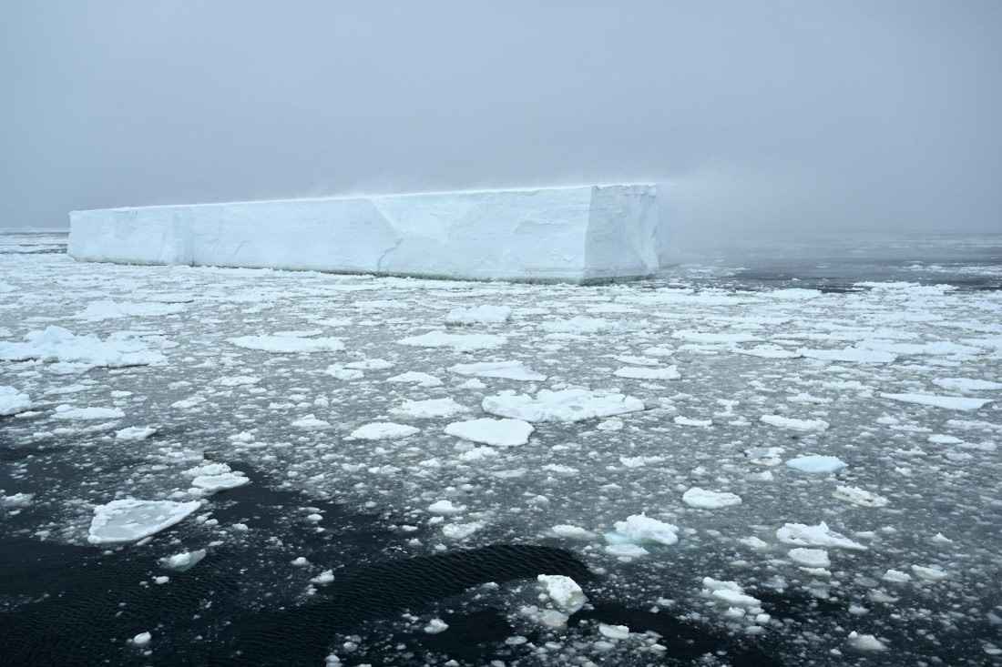 PLA20-24, Day 17, YA6_6738_20241103_7401 © Yves Adams - Oceanwide Expeditions.JPG