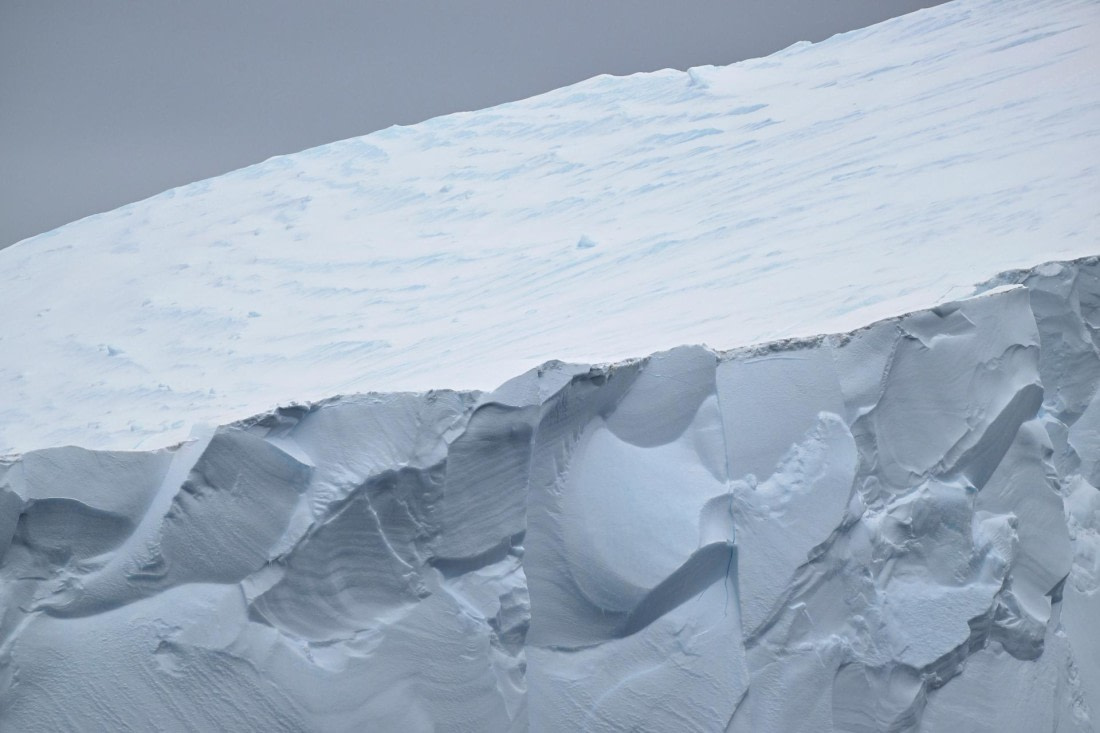 PLA20-24, Day 17, YA6_6939_20241103_7403 © Yves Adams - Oceanwide Expeditions.JPG