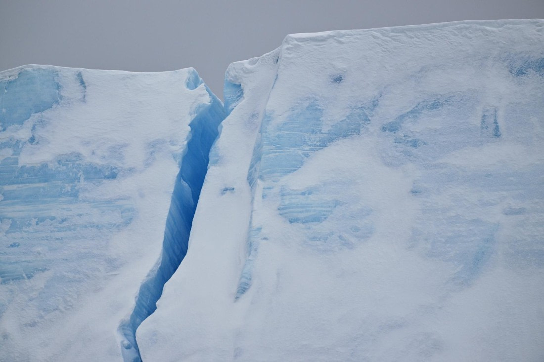 PLA20-24, Day 17, YA6_7062_20241103_7405 © Yves Adams - Oceanwide Expeditions.JPG