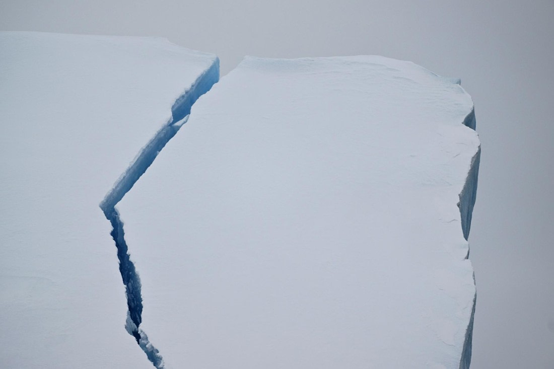 PLA20-24, Day 17, YA6_7362_20241103_7411 © Yves Adams - Oceanwide Expeditions.JPG