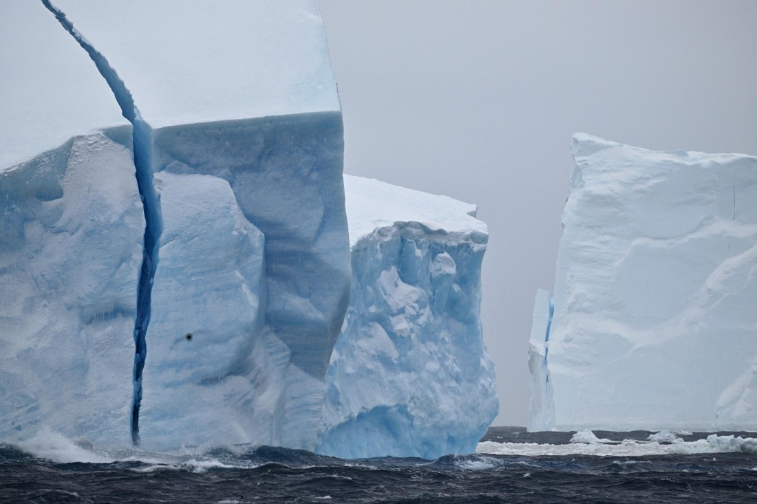 PLA20-24, Day 17, YA6_7404_20241103_7413 © Yves Adams - Oceanwide Expeditions.JPG