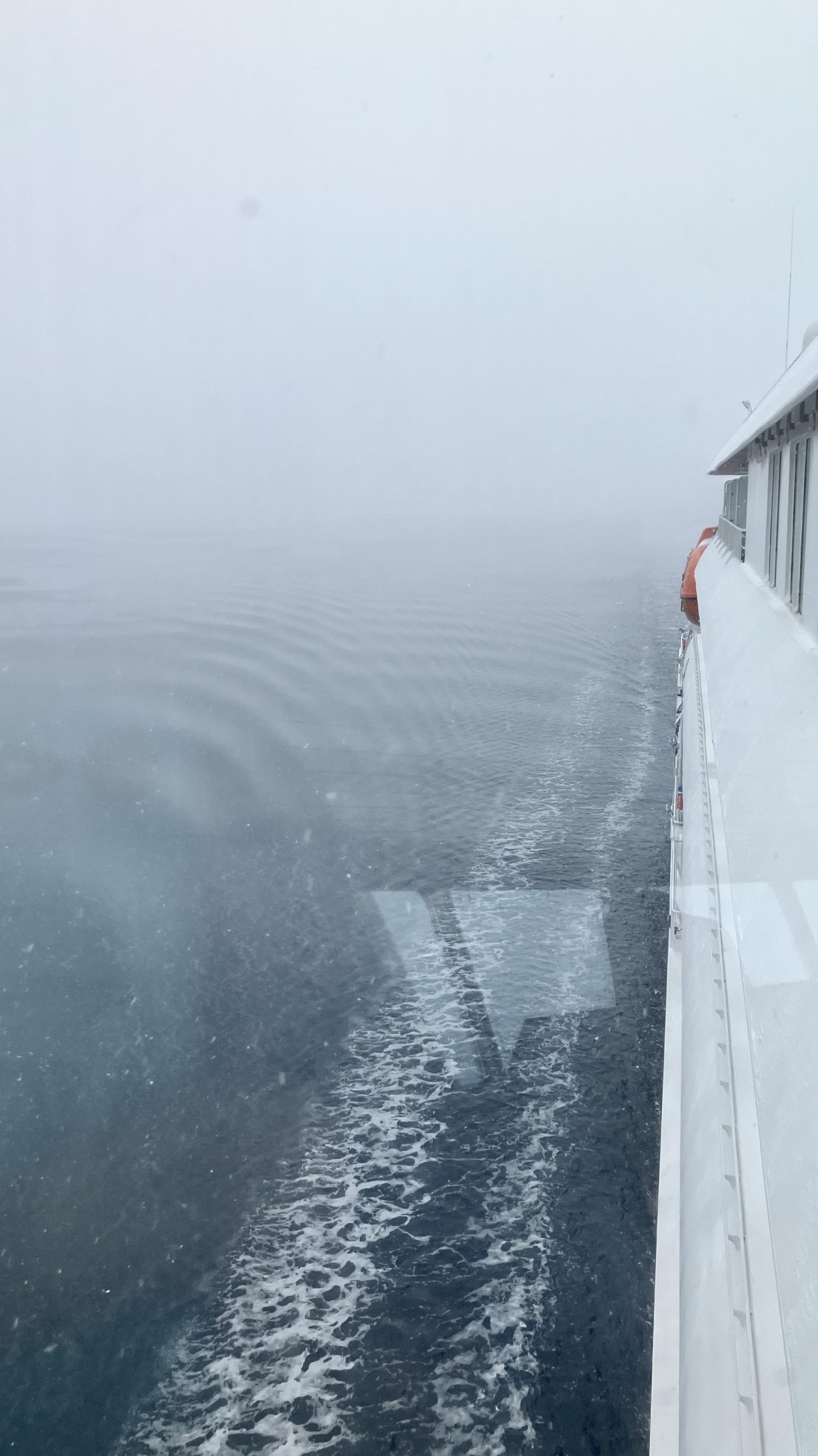 HDS21a24, Day 4, IMG_1956 © Unknown photographer - Oceanwide Expeditions.jpeg