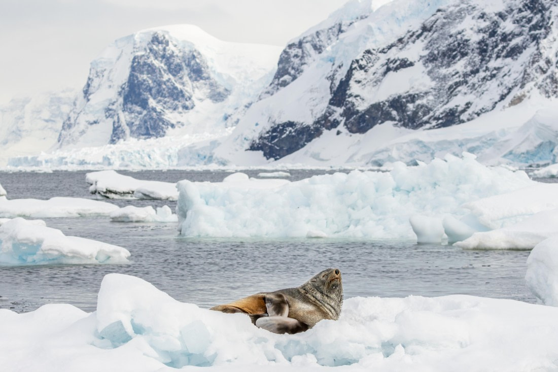 HDS21a24, Day 5, 2B5A3283 © Juan Berenstein - Oceanwide Expeditions.jpg
