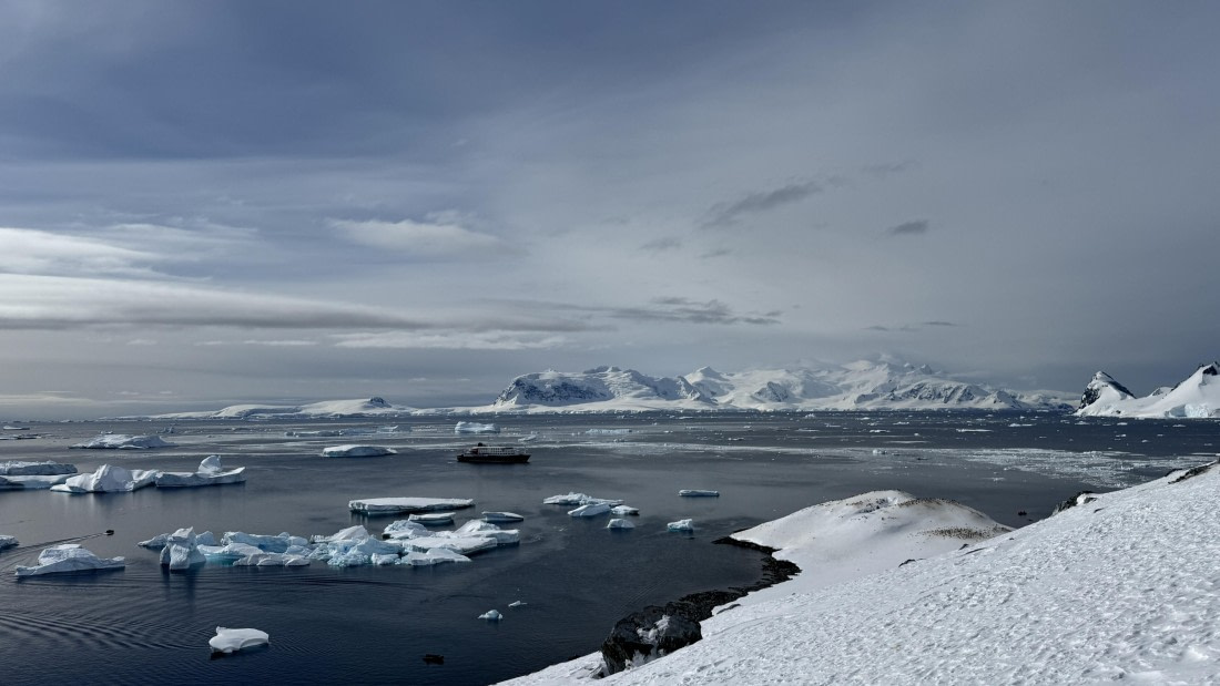 HDS21a24, Day 8, Cuverville2 © Meike Sjoer - Oceanwide Expeditions.jpg