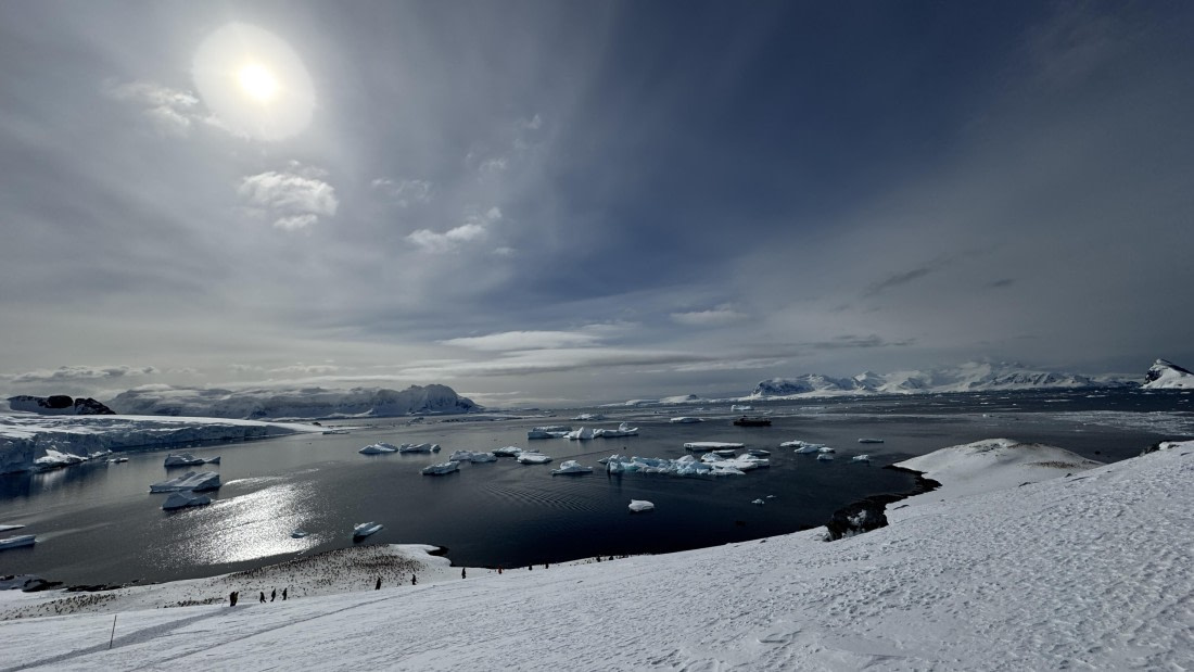 HDS21a24, Day 8, cuverville5 © Meike Sjoer - Oceanwide Expeditions.jpg