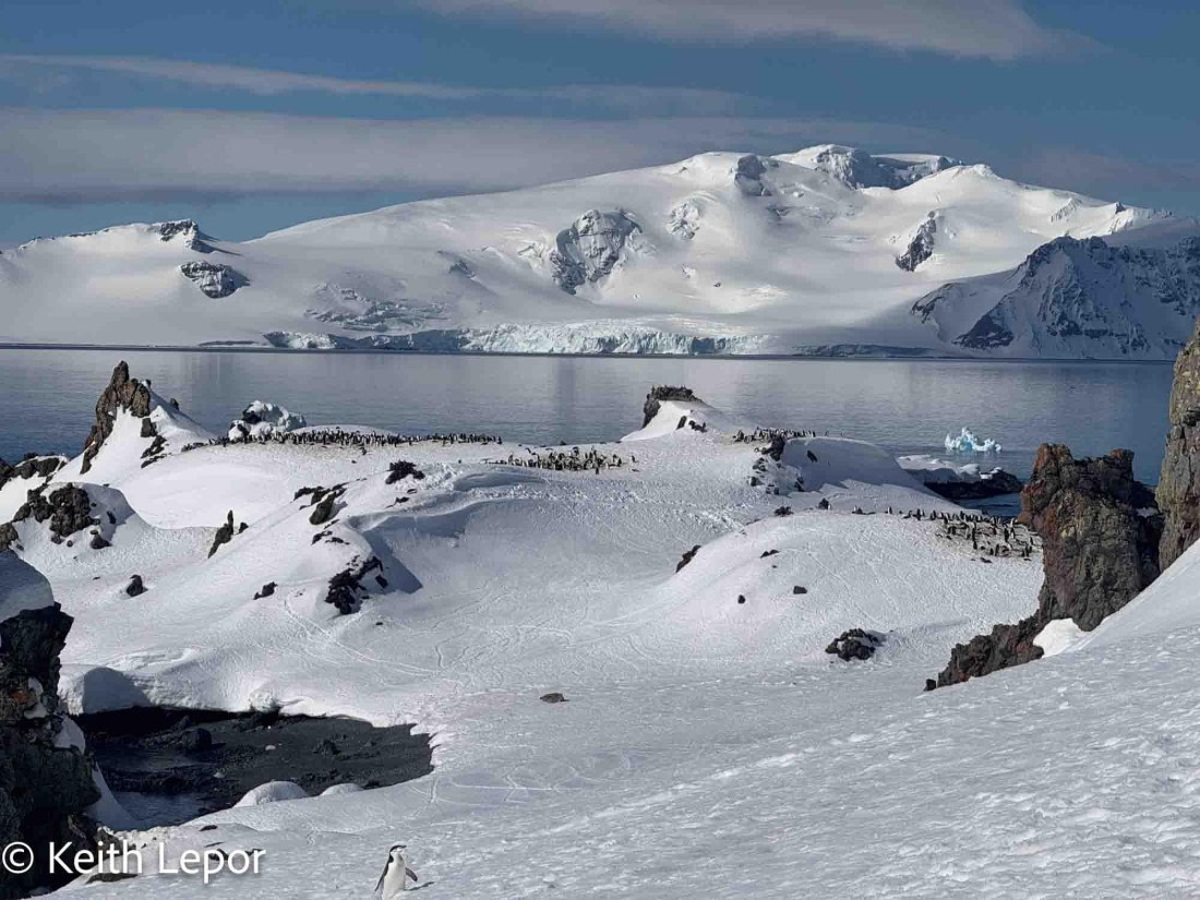 HDS21a24, Day 10, IMG_9125 © Keith Lepor - Oceanwide Expeditions.jpg
