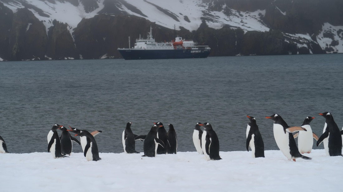 OTL22-24, Day 3, IMG_6091 © Unknown photographer - Oceanwide Expeditions.JPG