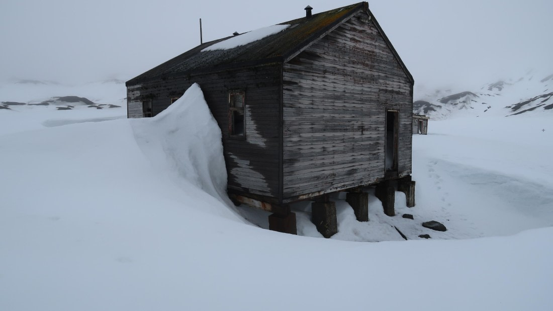 OTL22-24, Day 3, IMG_6100 © Unknown photographer - Oceanwide Expeditions.JPG