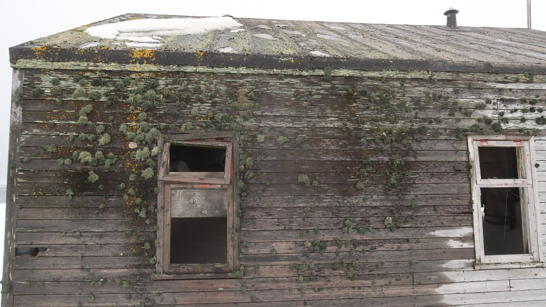 OTL22-24, Day 3, IMG_6101 © Unknown photographer - Oceanwide Expeditions.JPG