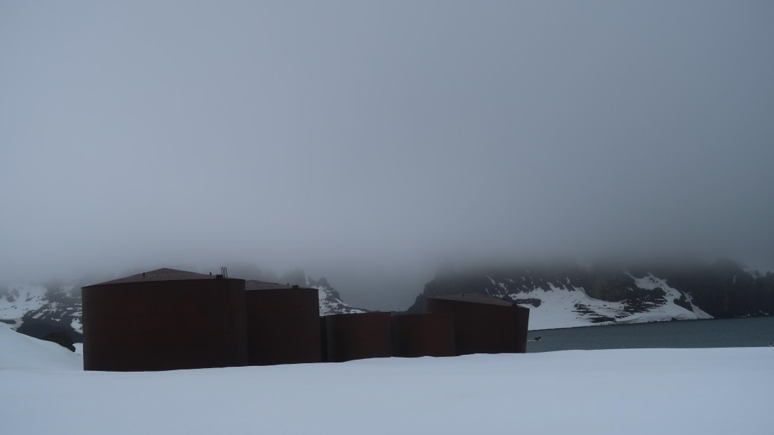 OTL22-24, Day 3, IMG_6107 © Unknown photographer - Oceanwide Expeditions.JPG