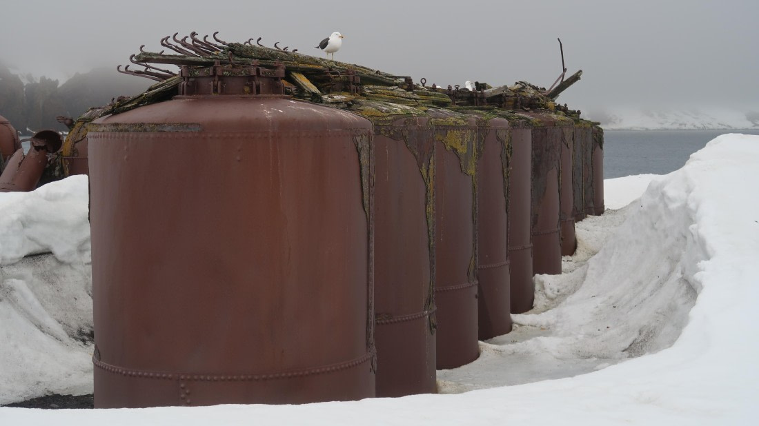 OTL22-24, Day 3, IMG_6111 © Unknown photographer - Oceanwide Expeditions.JPG