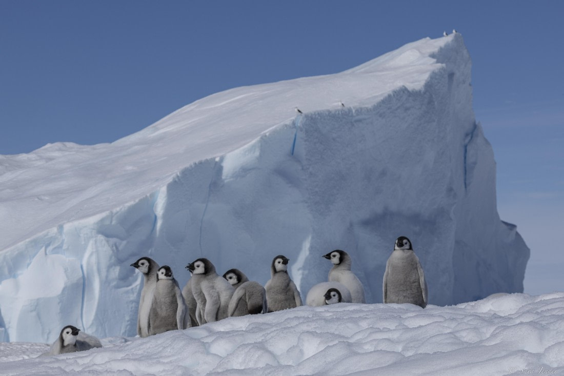 OTL22-24, Day 5, Snow Hill 12 © Sara Jenner - Oceanwide Expeditions.jpg