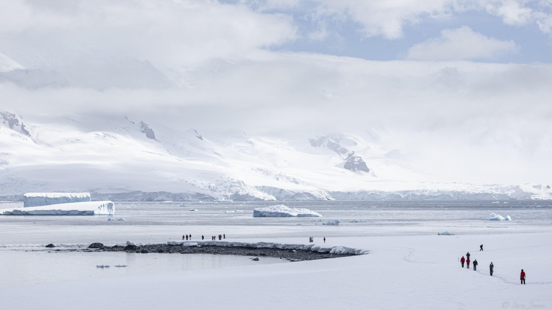 OTL22-24, Day 7, Half moon island © Sara Jenner - Oceanwide Expeditions.jpg