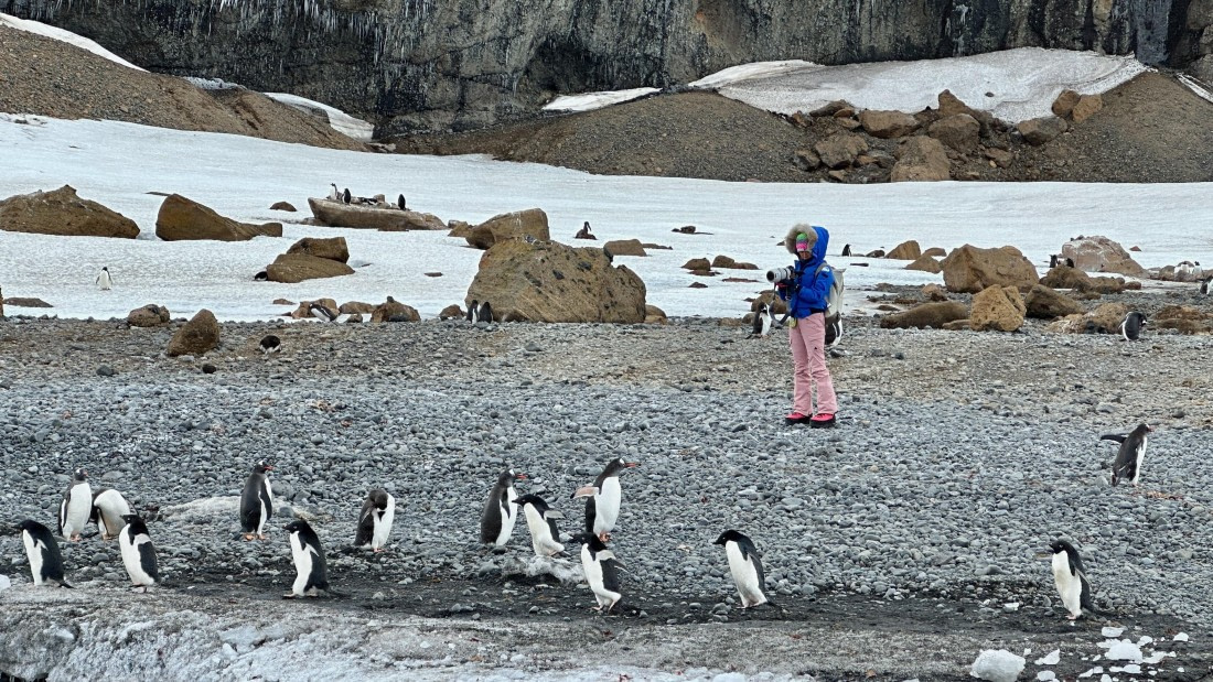 OTL23-24, Day 5, IMG_6659 © Unknown photographer - Oceanwide Expeditions.jpeg