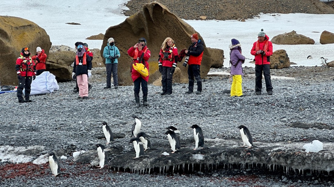 OTL23-24, Day 5, IMG_6663 © Unknown photographer - Oceanwide Expeditions.jpeg