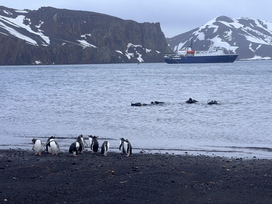 OTL23-24, Day 3, IMG_3342 © Unknown photographer - Oceanwide Expeditions.jpg