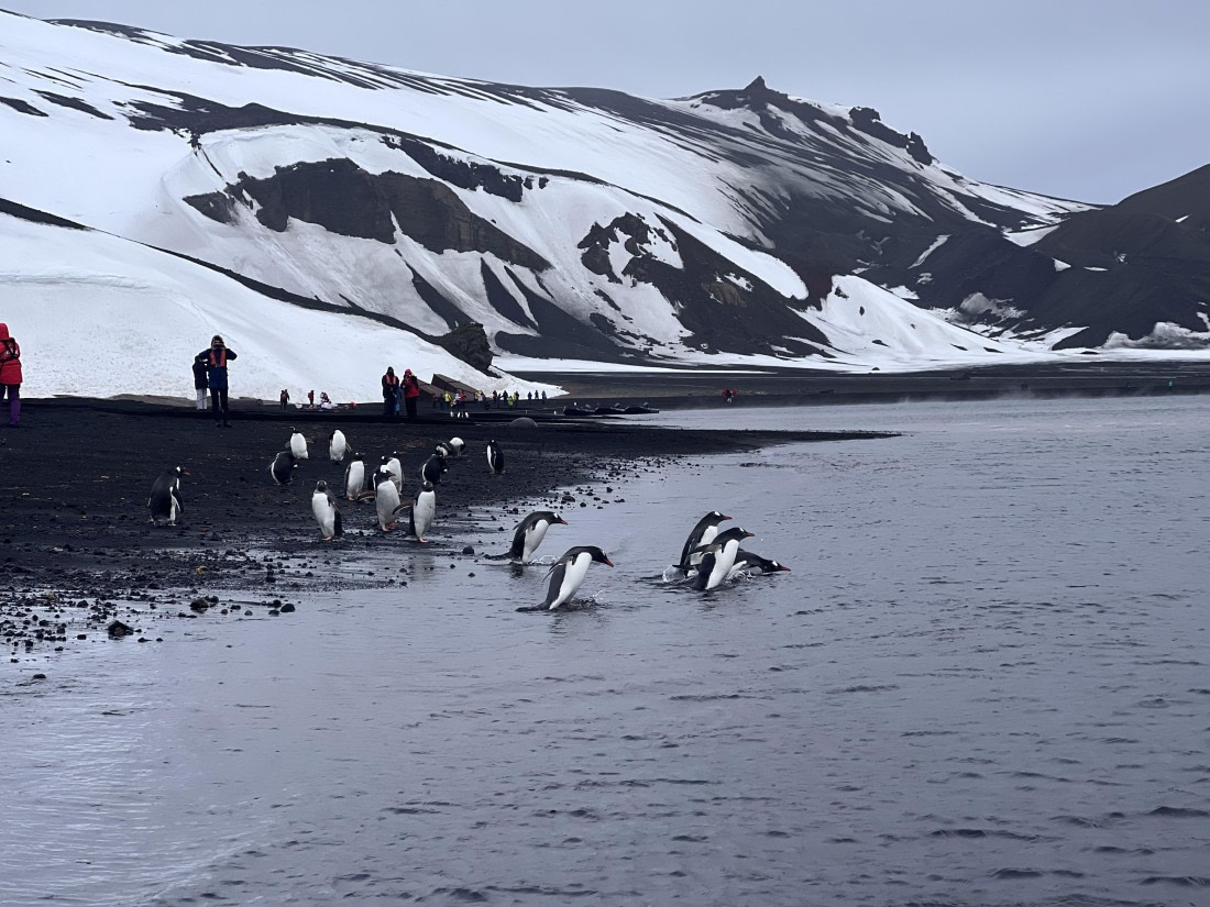 OTL23-24, Day 3, IMG_3353 © Unknown photographer - Oceanwide Expeditions.jpg