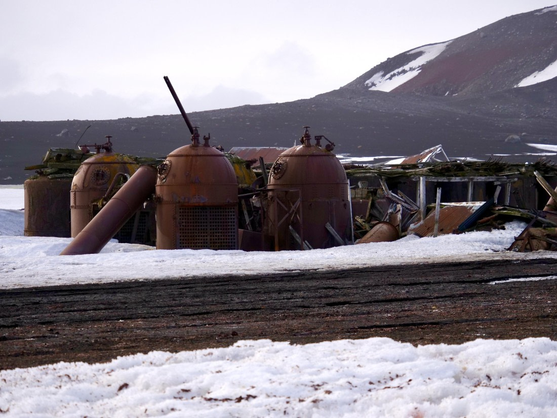 OTL23-24, Day 3, P1079845 © Unknown photographer - Oceanwide Expeditions.jpg