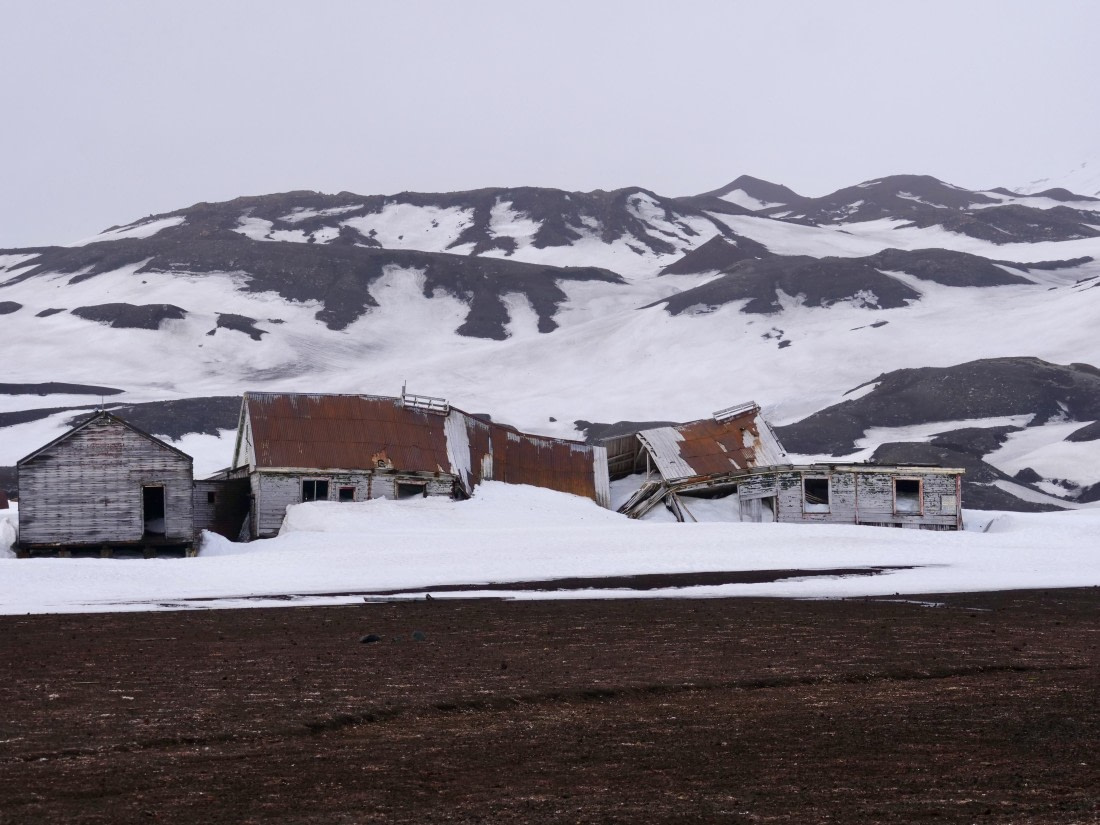 OTL23-24, Day 3, P1079864 © Unknown photographer - Oceanwide Expeditions.jpg