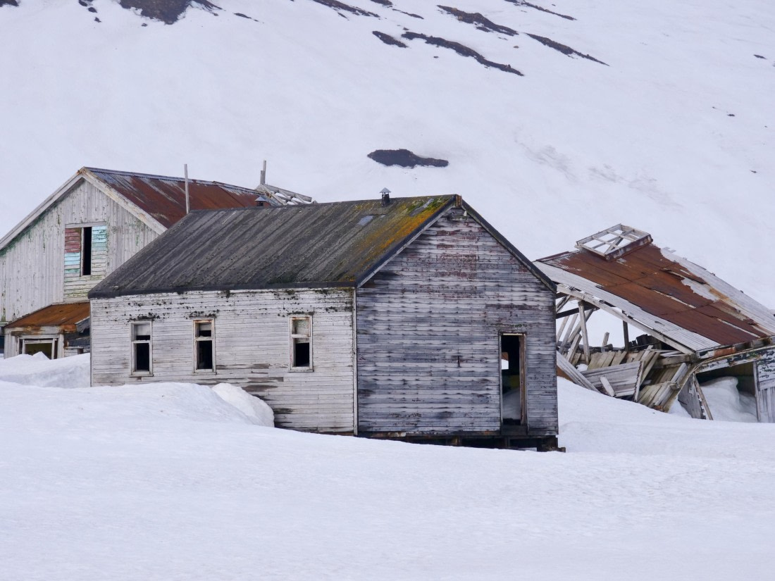 OTL23-24, Day 3, P1079867 © Unknown photographer - Oceanwide Expeditions.jpg