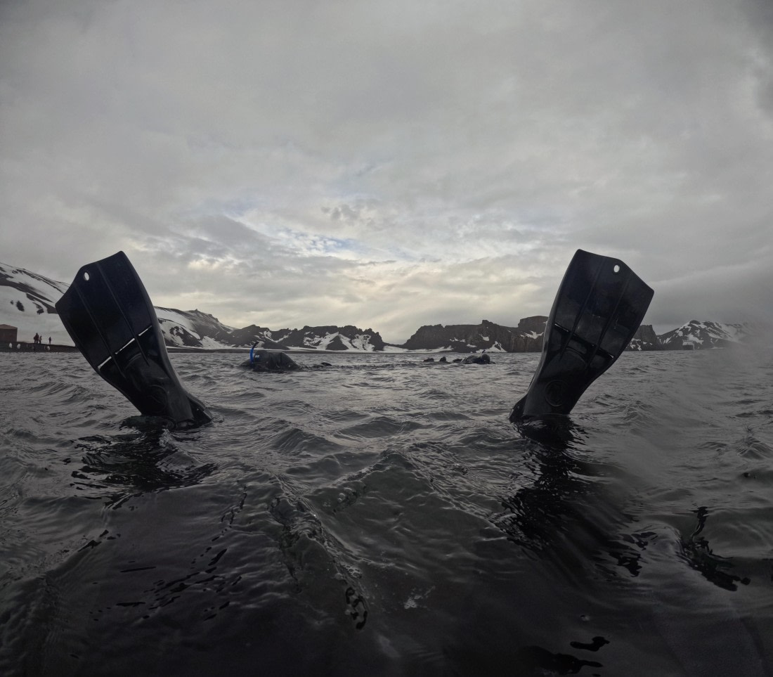 OTL23-24, Day 3, Snorkeling deception island © Unknown photographer - Oceanwide Expeditions.JPG