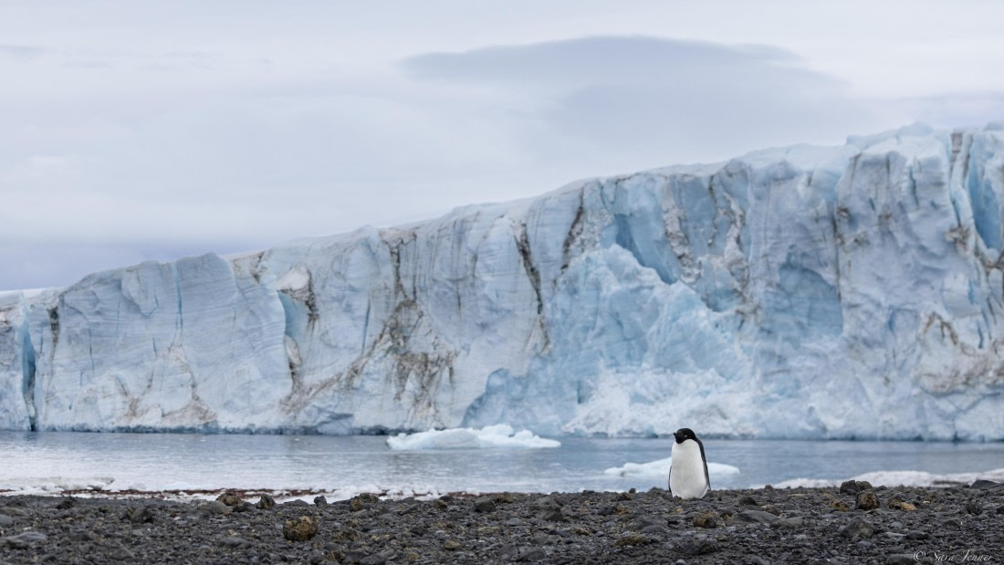 OTL23-24, Day 5, Brown Bluff 1 © Sara Jenner - Oceanwide Expeditions.jpg