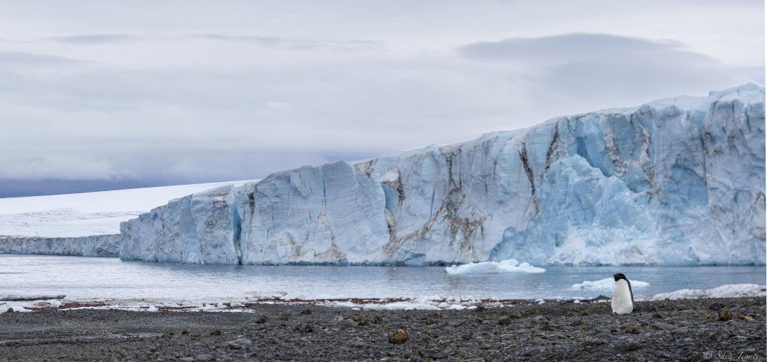 OTL23-24, Day 5, Brown Bluff 3 © Sara Jenner - Oceanwide Expeditions.jpg