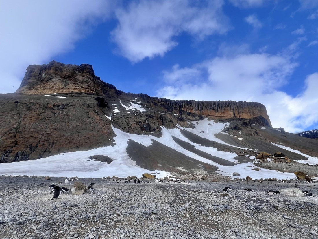 OTL23-24, Day 5, Scenary_BrownBluff © Unknown photographer - Oceanwide Expeditions.jpg