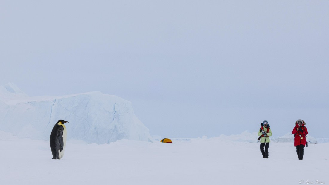 OTL23-24, Day 6, Snow Hill 18 © Sara Jenner - Oceanwide Expeditions.jpg