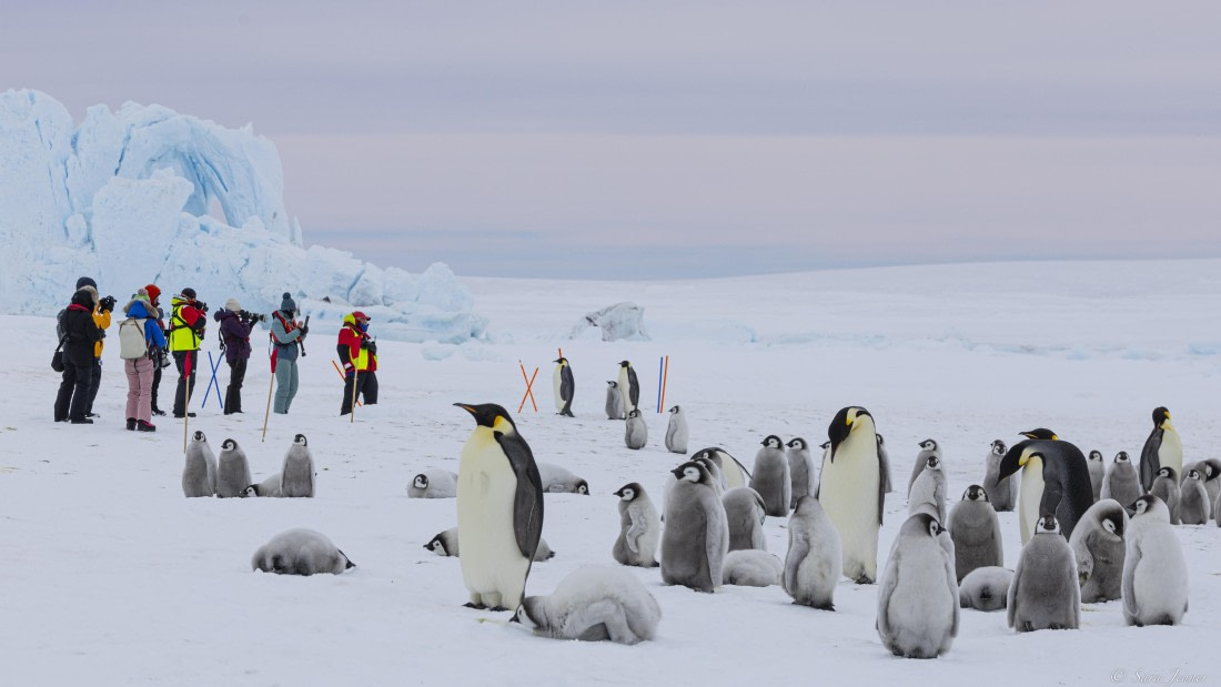 OTL23-24, Day 6, Snow Hill 19 © Sara Jenner - Oceanwide Expeditions.jpg