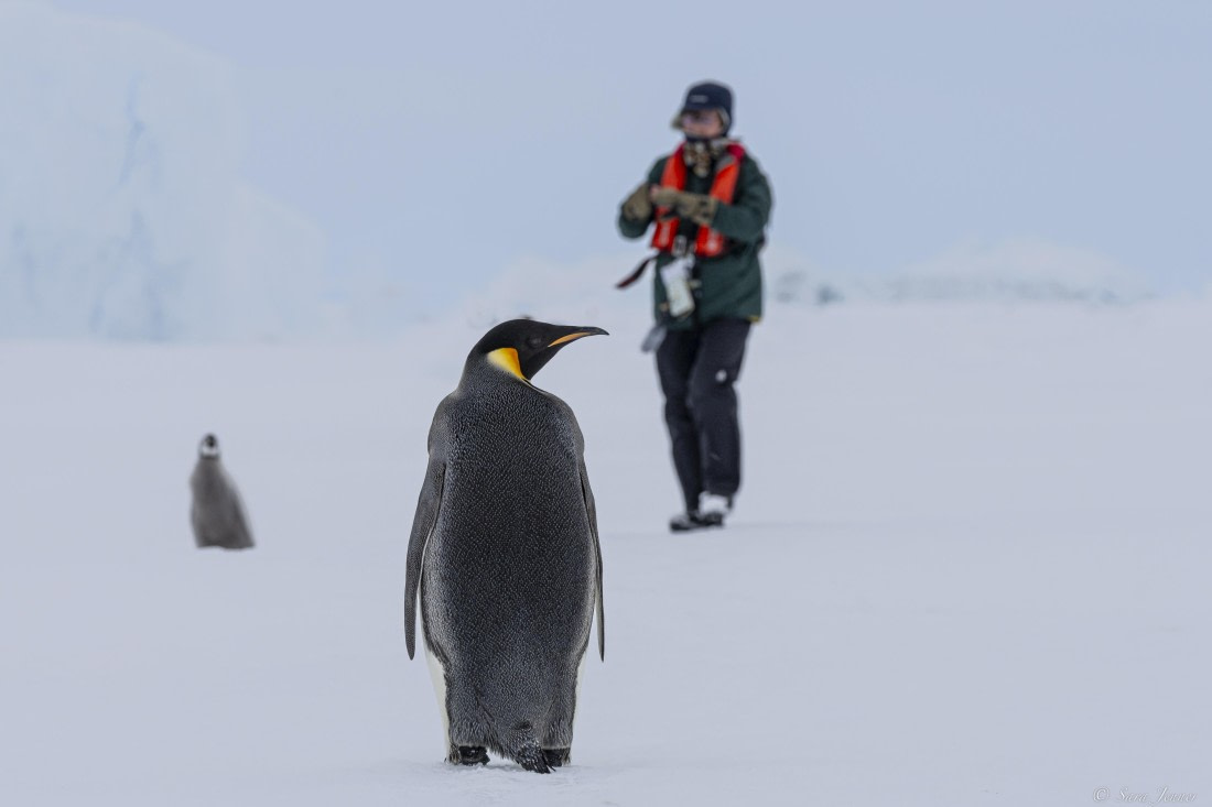 OTL23-24, Day 6, Snow Hill 20 © Sara Jenner - Oceanwide Expeditions.jpg