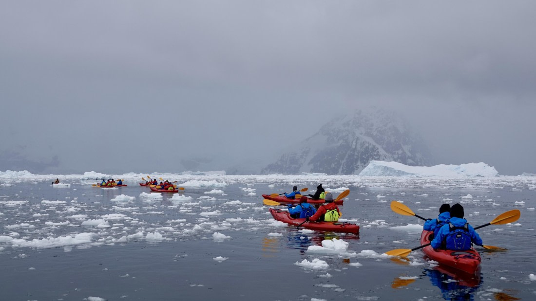 HDS23-24, DSC00475 © Unknown photographer - Oceanwide Expeditions.JPG