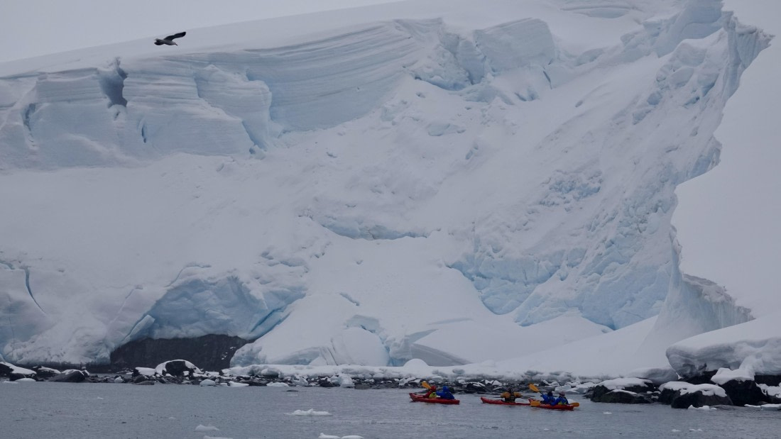 HDS23-24, DSC00596 © Unknown photographer - Oceanwide Expeditions.JPG